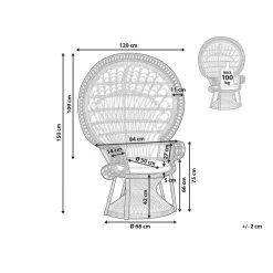 Beliani Fauteuil EMMANUELLE - Zwart Rotan -Beste Fauteuil Winkel 0ee7c2c134074a0f8bcbb76e7e30c91e