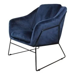DS4UĀ® Antonio Fauteuil Velvet - Stof - Blauw
