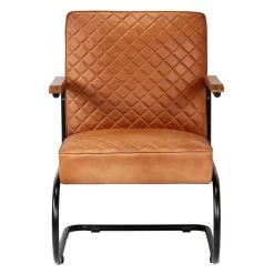 VidaXL Fauteuil Echt Leer Lichtbruin -Beste Fauteuil Winkel 597197f6fed6417cae23f18e3767eea0