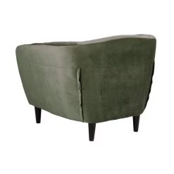 Fauteuil Thyrza - Fluweel - Groen -Beste Fauteuil Winkel 81025840 0300