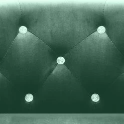 VidaXL Fauteuil Fluweel Groen -Beste Fauteuil Winkel df6a31e963524035a672f2c986370926